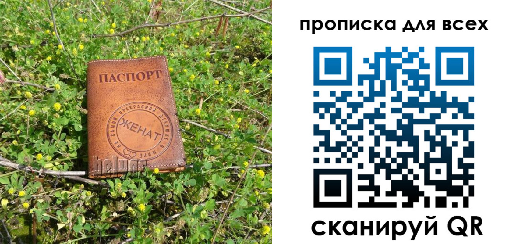 прописка поиск в Борзе