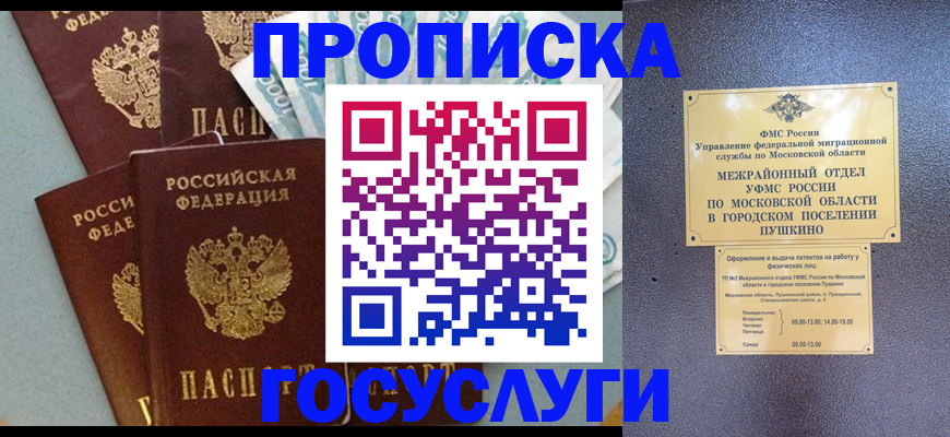 прописка гарантия в Борзе